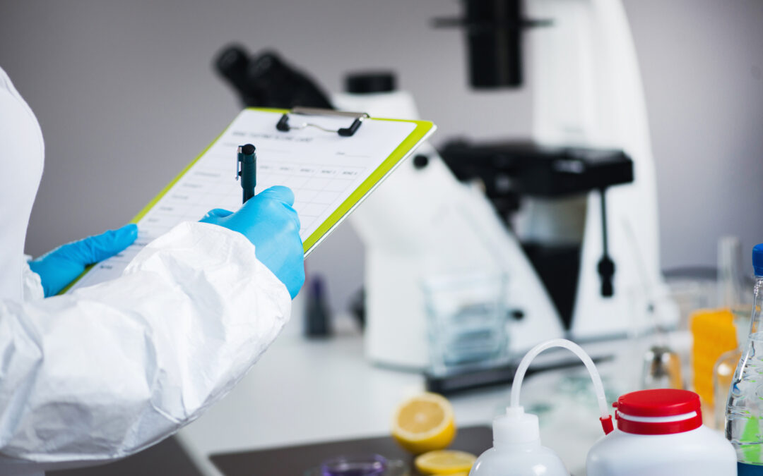 Why Your Organic Traffic is Stalling: 5 Technical SEO Killers