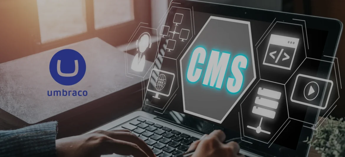 Checklist for Evaluating an Umbraco Development Company Sydney Businesses Trust