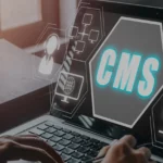Umbraco development company Sydney